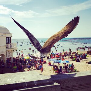 Beach summer wings