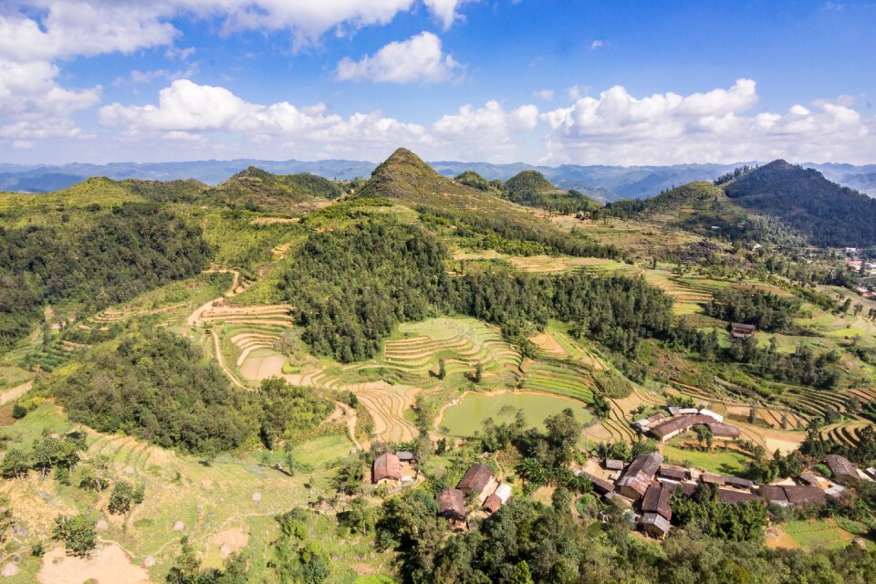 Rice paddies paddy landscape photo