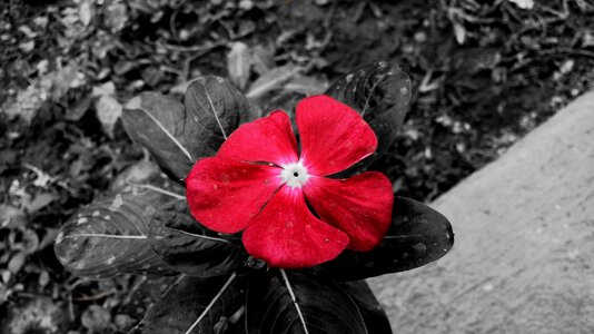 Horizontal nature freshness