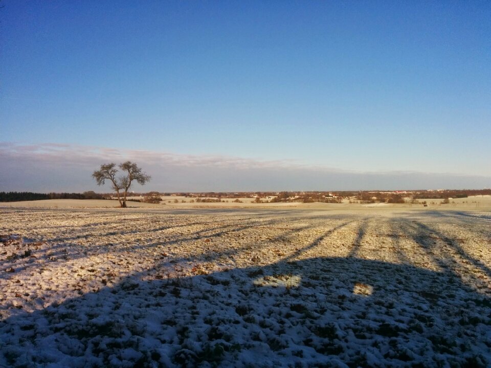 Snow landscape season