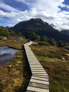 New zealand mountains