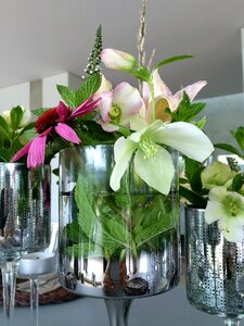 Vases flowers decorative photo