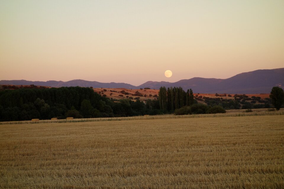 Landscape moon field