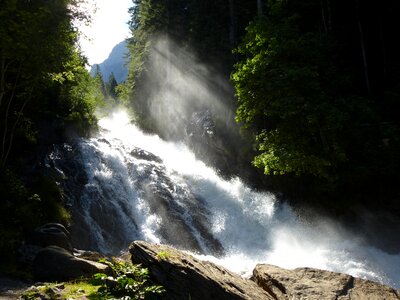 Nature summer alpine photo