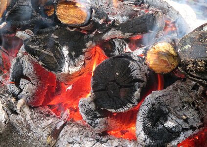 Coals firewood burns