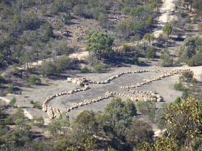 Australia victoria nature photo