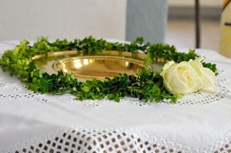 Baptismal font boxwood white rose photo