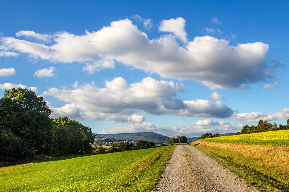 Meadow landscape field