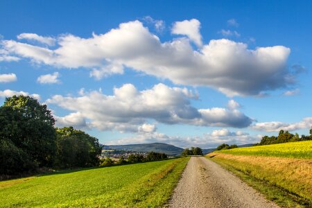 Meadow landscape field
