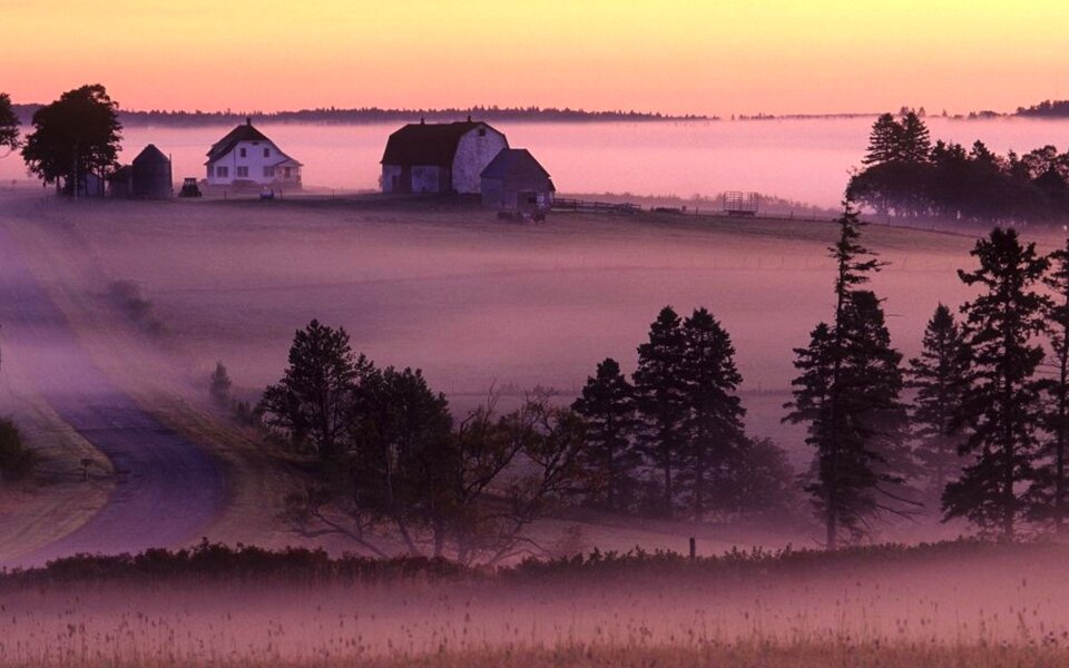 Autumn morning light photo