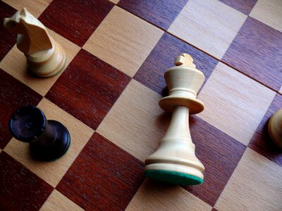 Checkmated chess game bauer photo