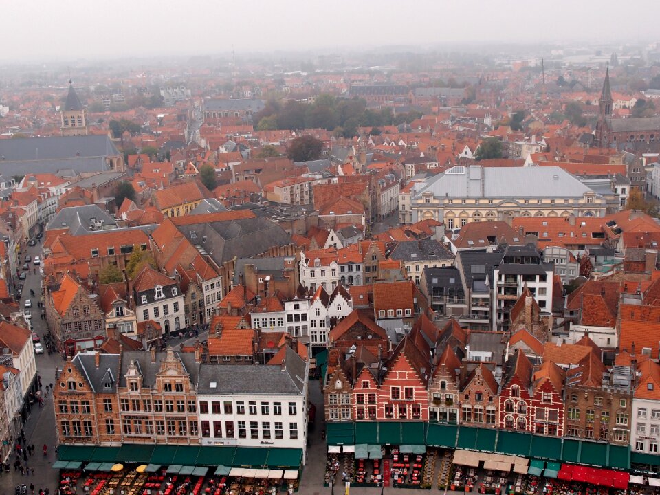 Houses red roof top view