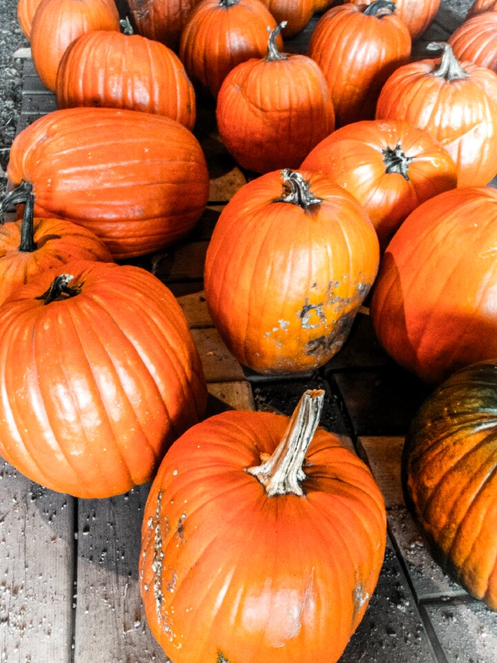 Fall orange october