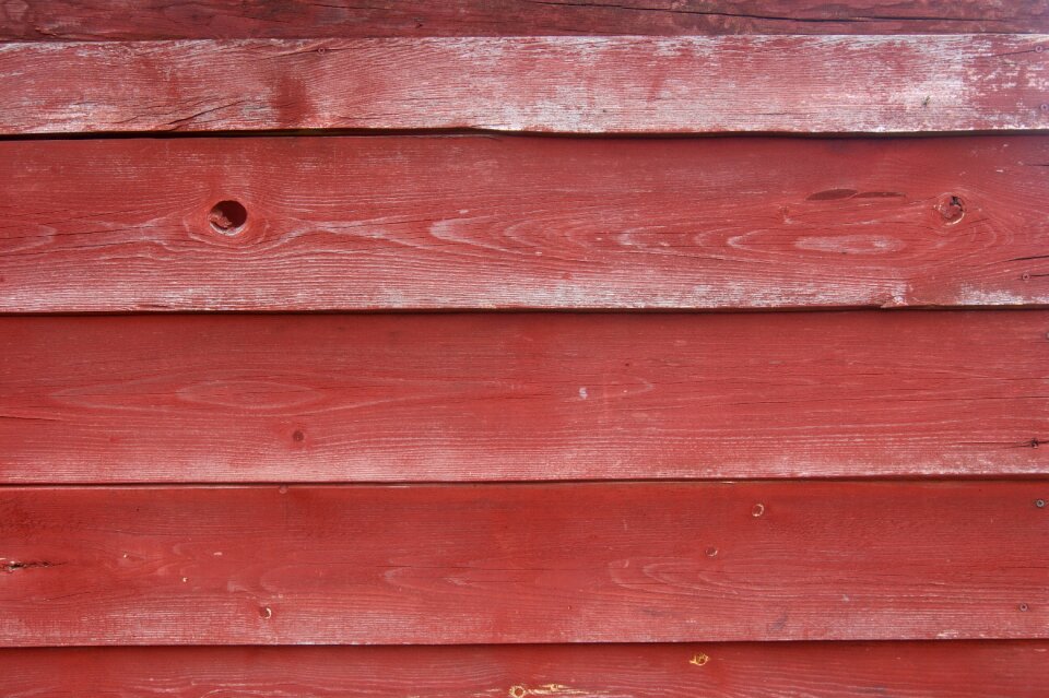 The background wood tree