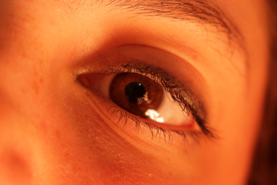 Human face eyesight
