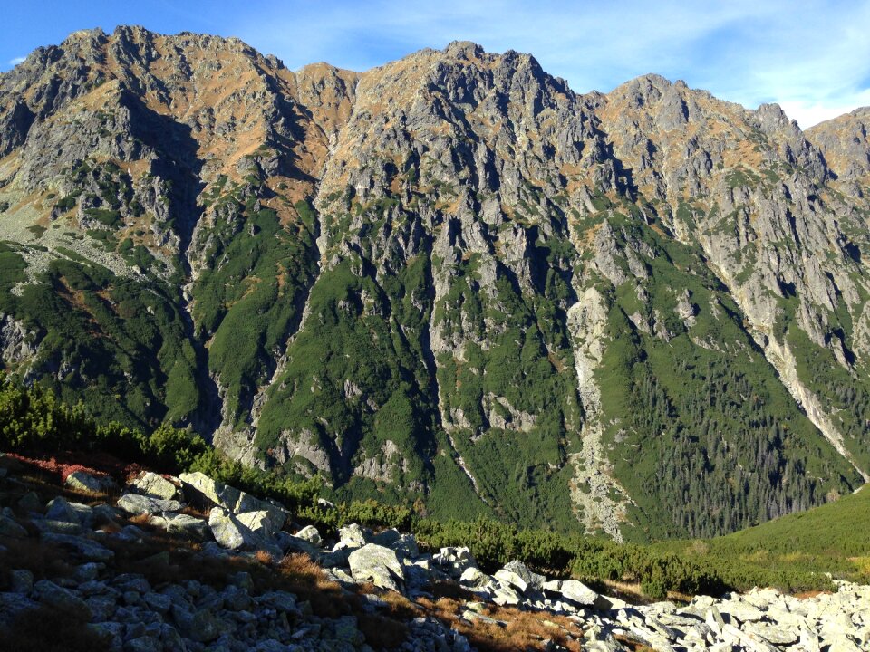 Landscape nature the national park photo