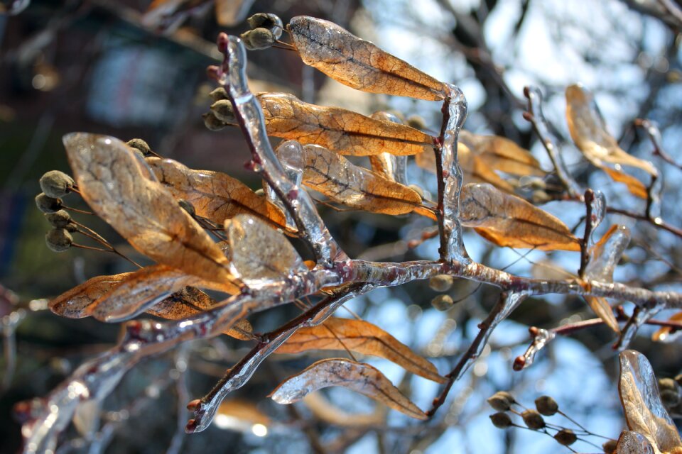 Nature landscape ice