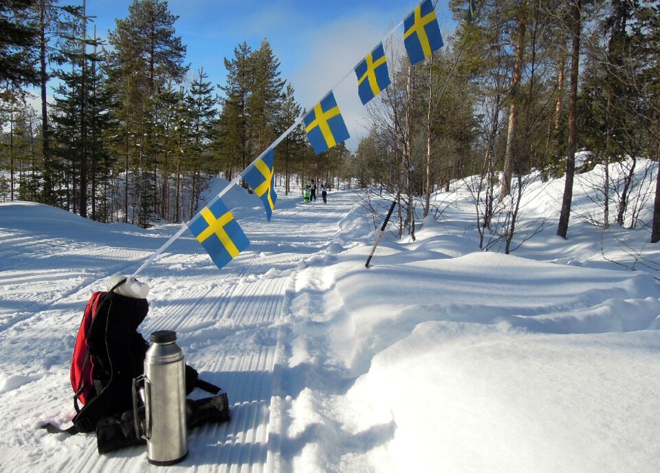 Vasaloppet ski trails competition