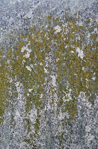 Old nature surface