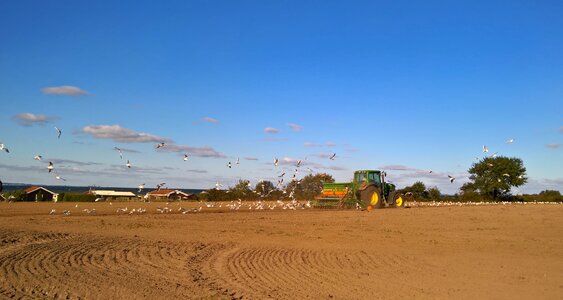 Field on the sea farmer at the plough tractor