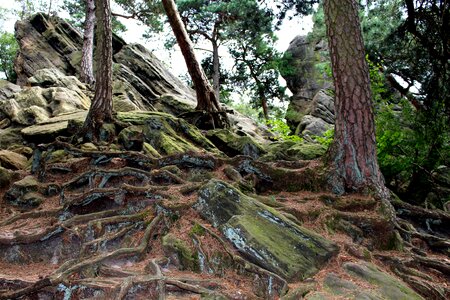 Rock sandstone-rock formation nature