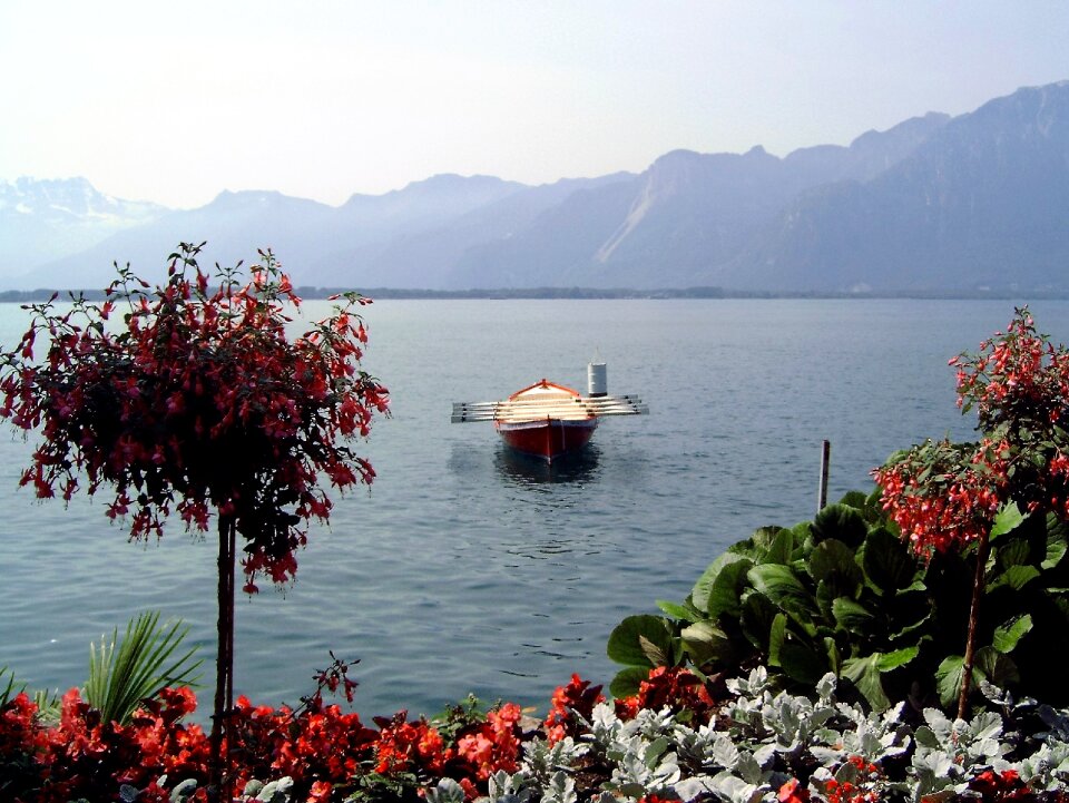 Rowing boat flowers lake geneva