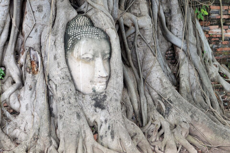 Archaeological site cham buddha head
