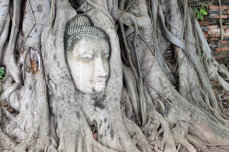 Archaeological site cham buddha head