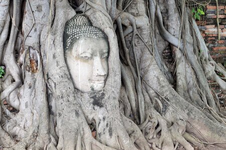 Archaeological site cham buddha head photo