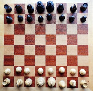Checkmated chess game black photo