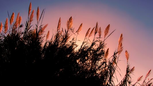 Afternoon scenery light