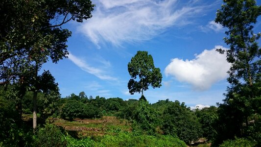 Landscape nature blue sky