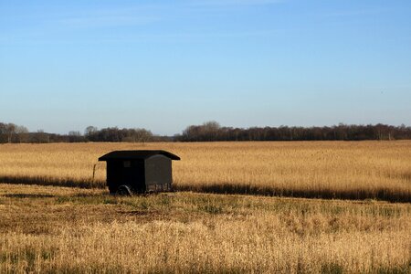 Reed black shack mini house