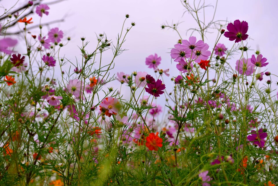Siheung sponge bone ecological park tabitha landscape