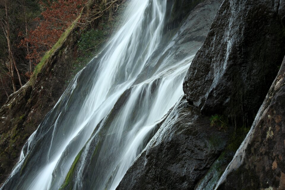 River nature outdoor