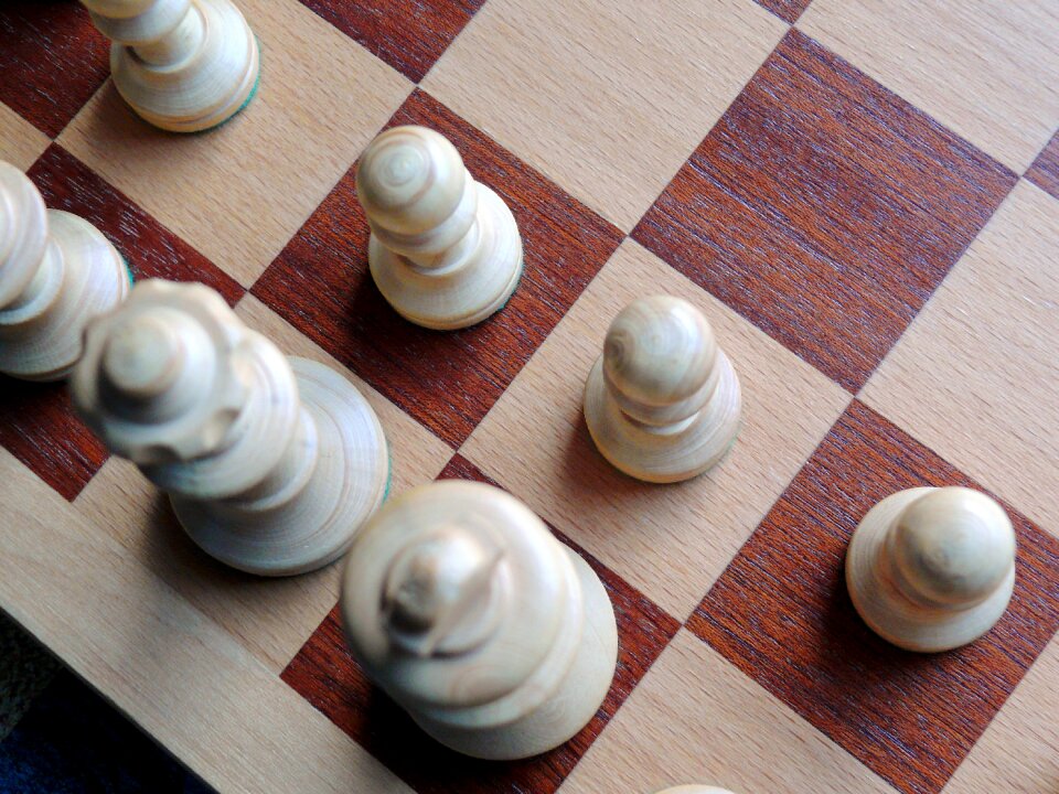 Checkmated chess game black