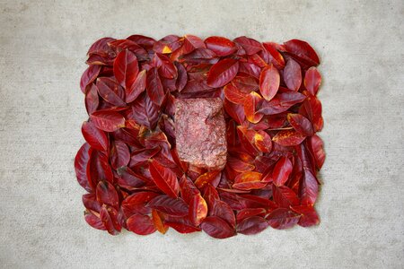 Strange red