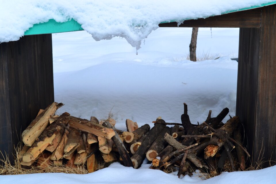 Twig in the cold snow photo