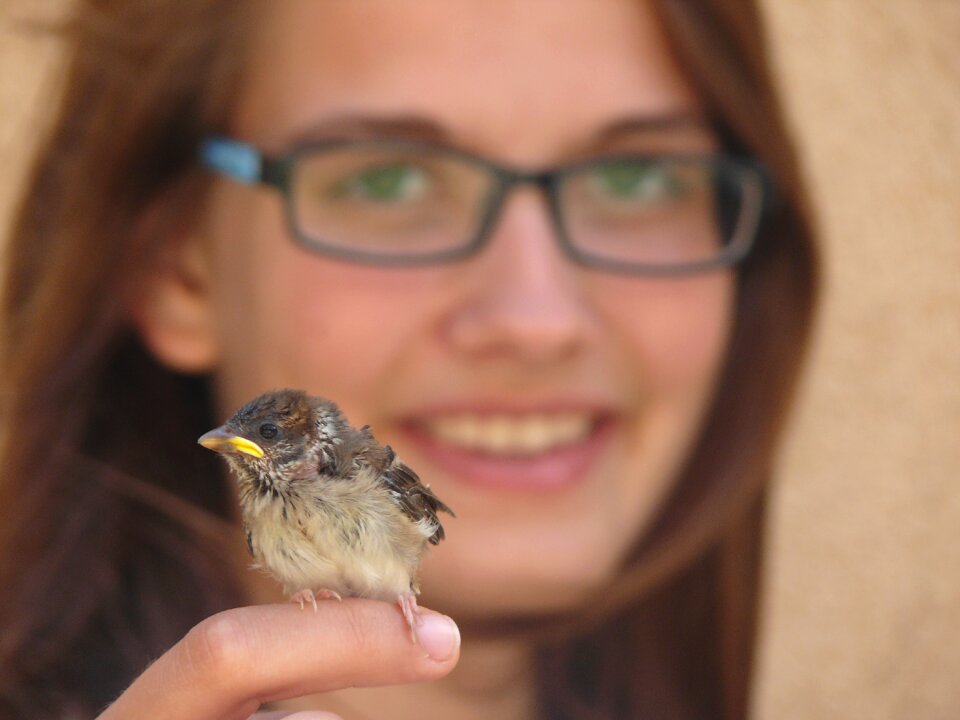 Bird gentle smile