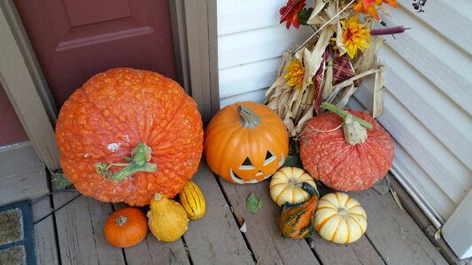 Holiday season harvest