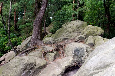 Rock sandstone-rock formation nature