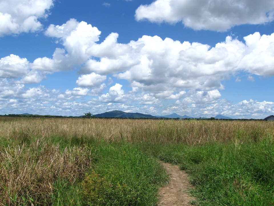 Wilderness scenery natural