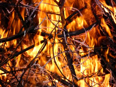 Flame wood blaze