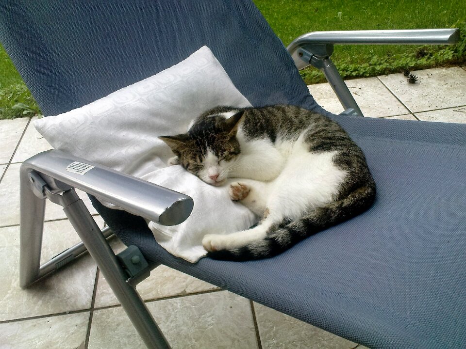 Deck chair terrace sleep