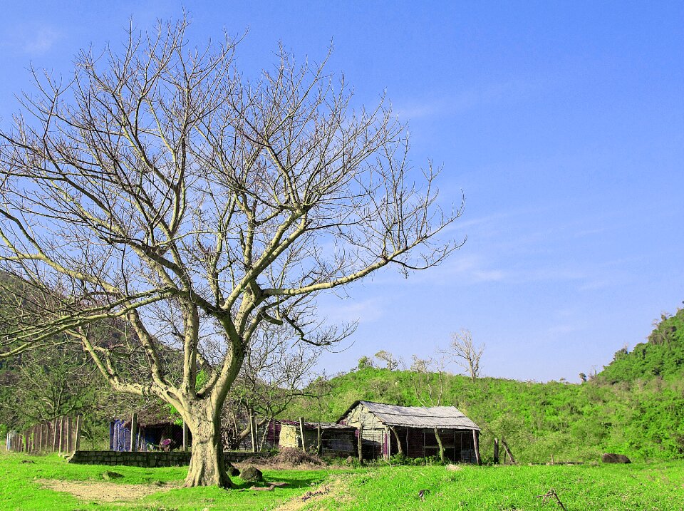Nature rural village