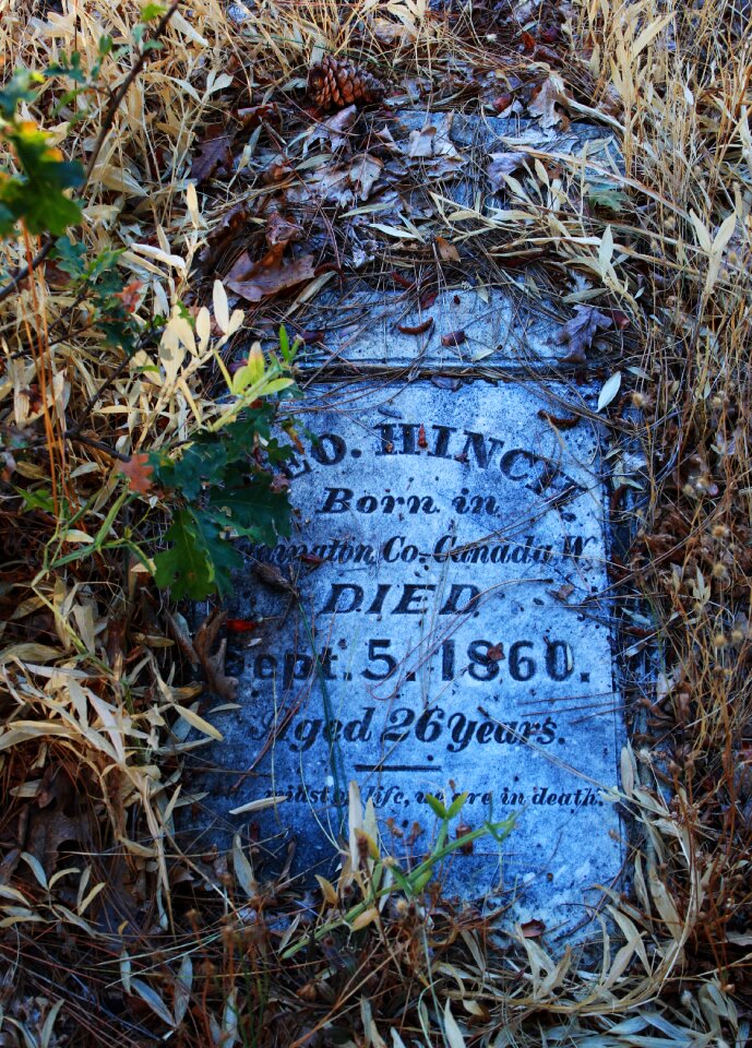 1800s forgotten head stone