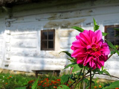 Garden window village photo