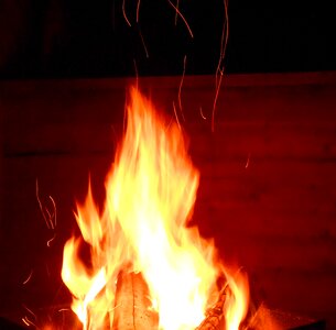 Hot wood orange