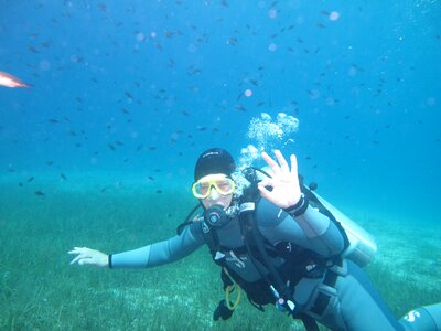 Sea diver ok photo