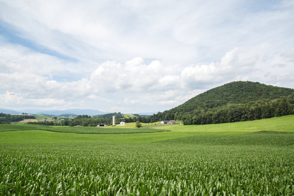 Blue nature field photo